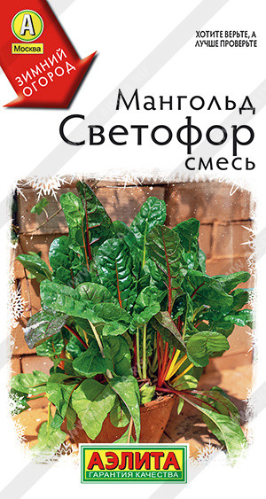 Мангольд Светофор горшечный Аэлита 