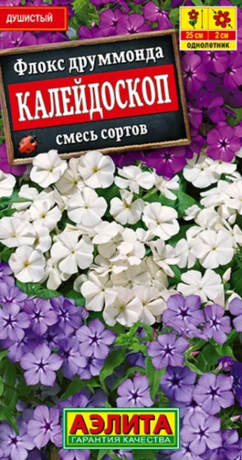 Флокс друммонда Калейдоскоп Аэлита 