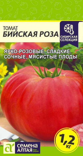 Томат Бийская Роза мясистый Сем.Алт 