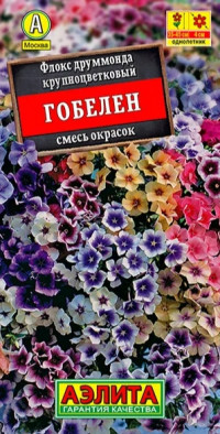 Флокс друммонда Гобелен Аэлита