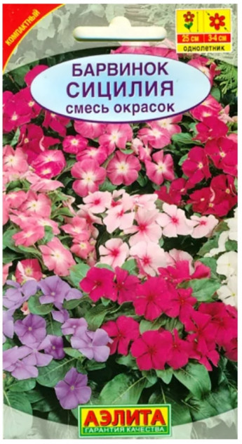 Барвинок Сицилия 