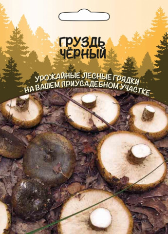 Гриб Груздь Черный Ур.Дачник 