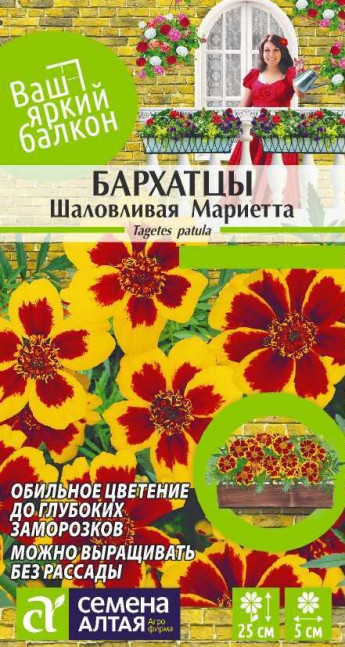 Бархатцы Шаловливая Мариетта 
