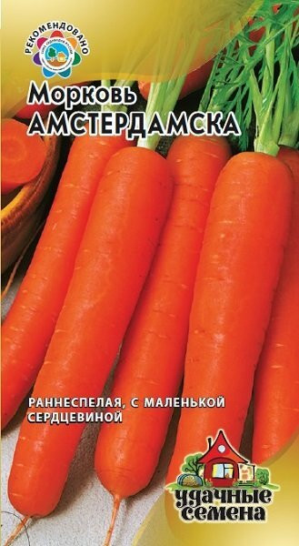 Морковь Амстердамска Удачные семена 