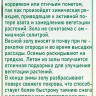 Зола подсолнечника 2л БиоТехн. - 