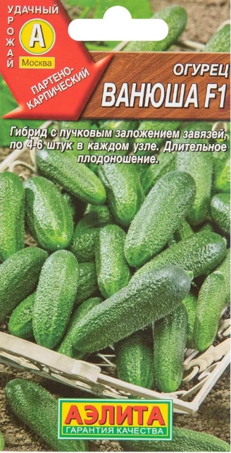 Огурец Ванюша F1 