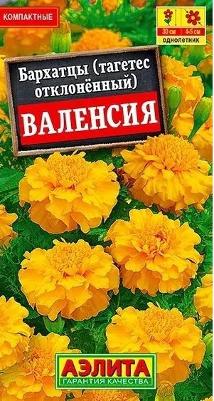 Бархатцы Валенсия Аэлита 