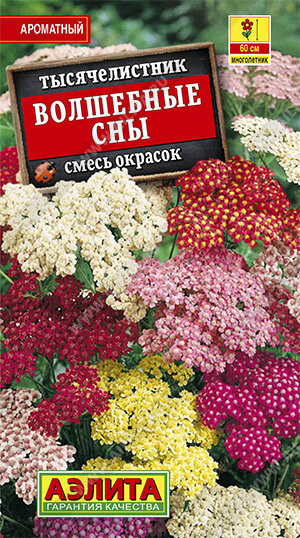 Тысячелистник Волшебные Сны 