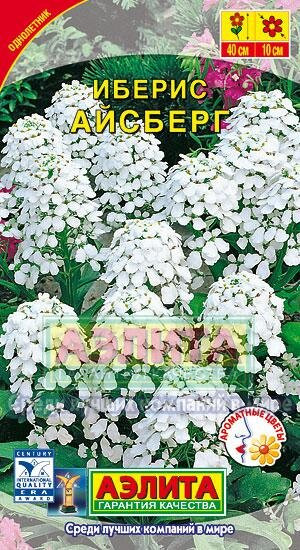 Иберис Айсберг белый Аэлита 