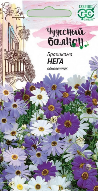 Брахикома Нега балконная Гавриш 