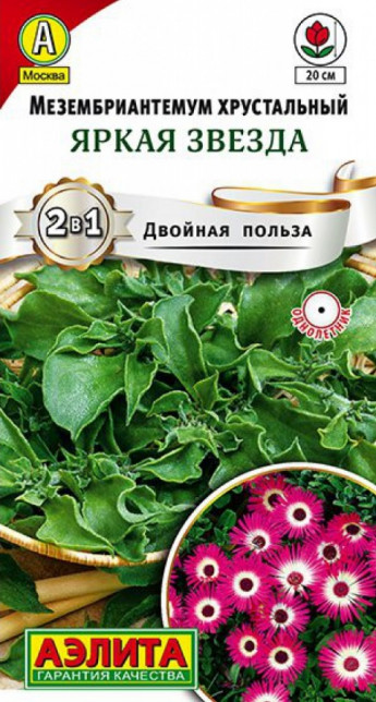 Мезембриантемум Яркая Звезда 