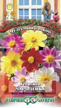 Георгина Чародейка