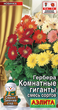 Гербера Комнатные Гиганты Аэлита