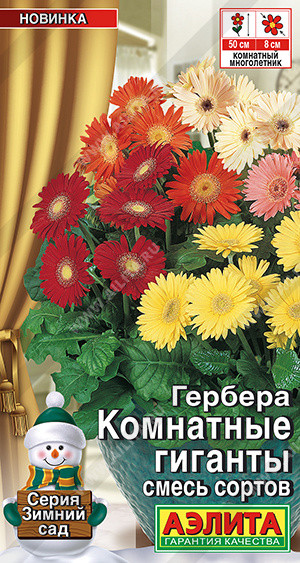 Гербера Комнатные Гиганты Аэлита 