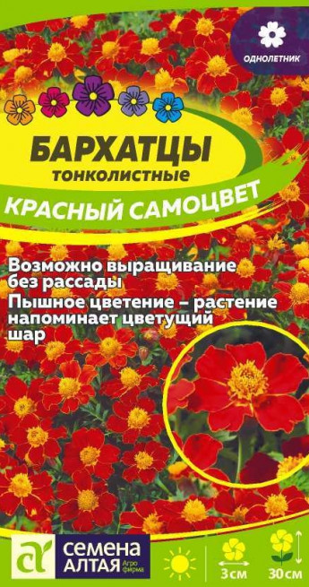 Бархатцы Красный Самоцвет Сем.Алтая 