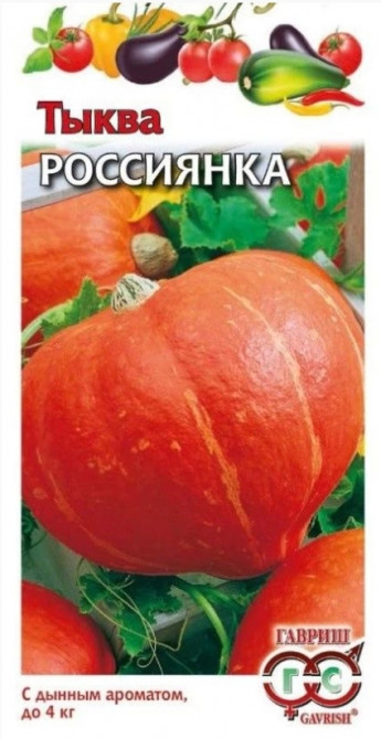 Тыква Россиянка 