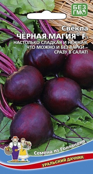 Свекла Черная Магия F1 Голландия 