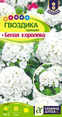 Гвоздика Турецкая Белая Королева
