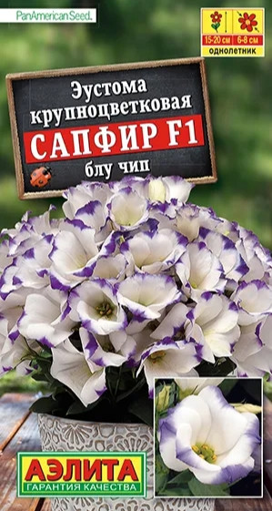 Блю чип ланос
