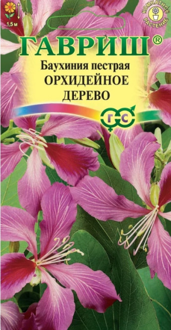 Баухиния Орхидейное дерево Гавриш 