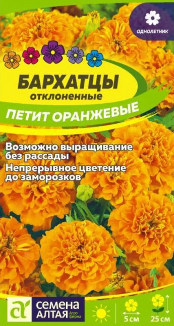 Бархатцы Петит Оранжевые Сем.Алтая 