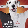Old Spice дезод.гелевый Лагуна 85мл - 