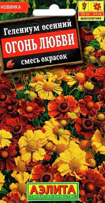 Гелениум Огонь Любви Аэлита 