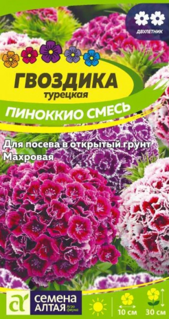 Гвоздика Турецкая Пиноккио Сем.Алта 