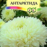 Астра Антарктида - 