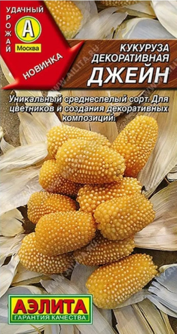 Кукуруза декоративная Джейн Аэлита 
