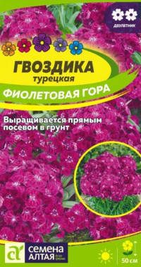 Гвоздика Турецкая Фиолетовая Гора