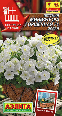 Петуния Минифлора Горшечная БЕЛАЯ