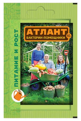 Атлант пакет 10г В/Х 