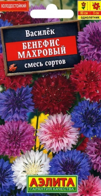 Василек Бенефис смесь окрасок 