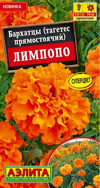 Бархатцы Лимпопо Аэлита 