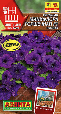Петуния Минифлора Горшечная СИНЯЯ