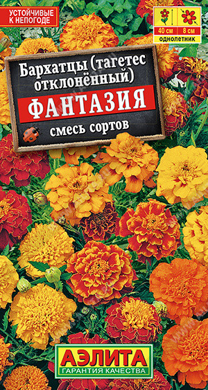 Бархатцы Фантазия Аэлита 
