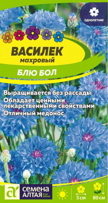 Василек Блю Бол 