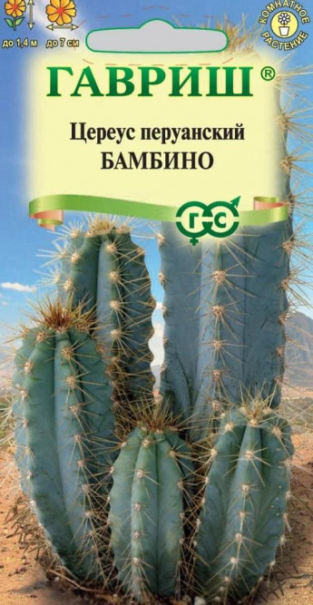 Цереус (Кактус) Бамбино комнатный 