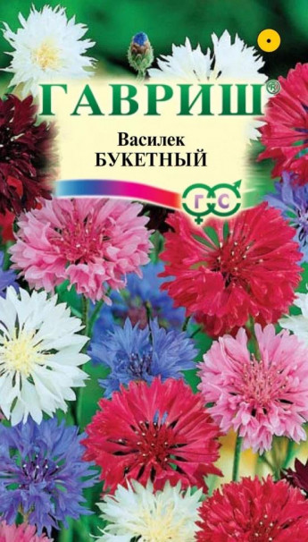 Василек Букетный 