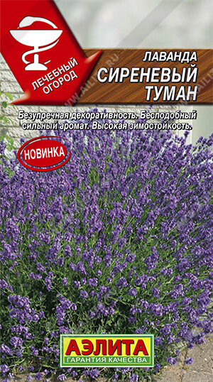 Лаванда Сиреневый Туман 