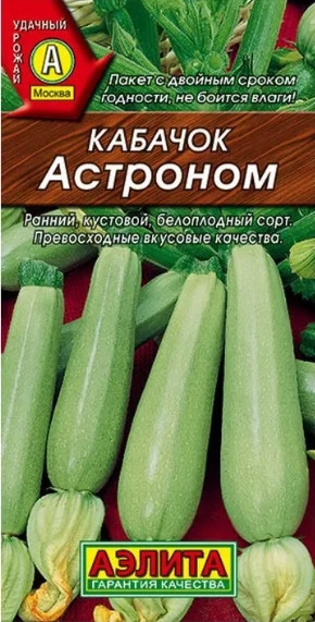 Кабачок Астроном Аэлита 