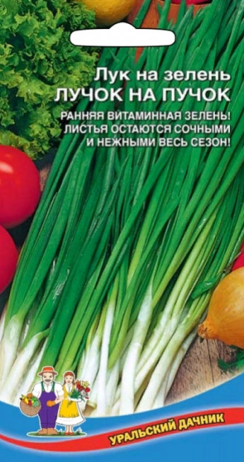 Лук на зелень Лучок на Пучок Ур.Дач 