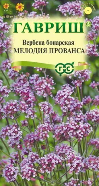 Вербена Мелодия Прованса Гавриш 