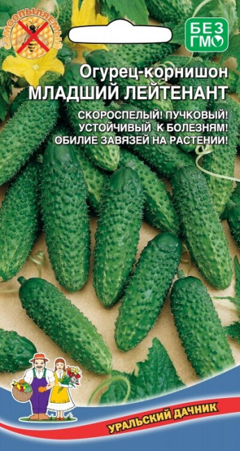 Огурец Младший Лейтенант F1 