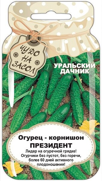 Огурец Президент корнишон 