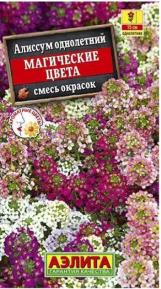 Алиссум Магические Цвета смесь 