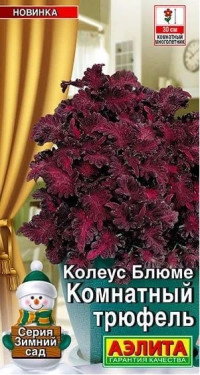 Колеус Комнатный Трюфель Аэлита