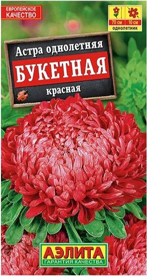 Астра Букетная КРАСНАЯ пионовидная 