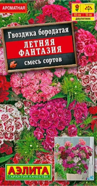 Гвоздика Летняя Фантазия Аэлита